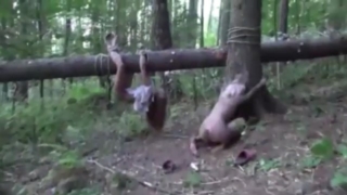 โคตรโหด เดินมาเจอศพสาวถุูกมัดกับกิ่งไม้ แทนที่จะช่วยดันเย็ดก่อนซะงั้น