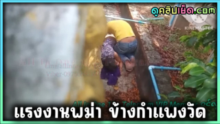 แอบถ่ายข้างกำแพงวัด คู่รักวัยรุ่นแรงงานพม่า มากันมาเย็ดริมกำแพงวัดในร่องน้ำคลิปเด็ดหายาก