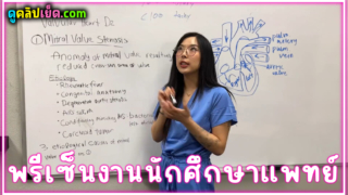 หนังโป๊เกาหลี Elle Lee นักศึกษาแพทย์ต้องมาเข้าเวรพรีเซ็นงานกับอาจารย์หมอแต่ต้องมาถูกลงโทษด้วยการเย็ดหีในโรงพยาบาล