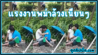 คลิปหลุดพม่า(Myanma) แรงงานพม่าแอบเย็ดที่สวนสาธารณะสนามหลวง นั่งล้วงหีแล้วโยกควยเนียนๆ XBurma