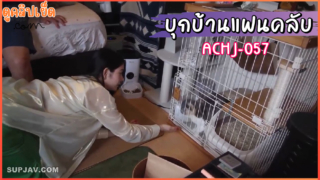 ACHJ-057 ตอบแทนแฟนคลับ ไปให้เย็ดหีฟรีถึงบ้าน Meg Fujiura หรือ Meguri บุกไปเซอร์ไพรแฟนคลับที่ติดตาม เอวีญี่ปุ่นxxx และผลงานของนักแสดง